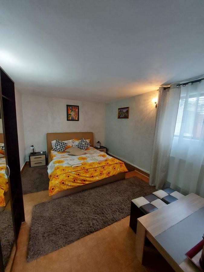 Tîrgu Ocna Popas Turistic Terasa Europa 빌라 외부 사진